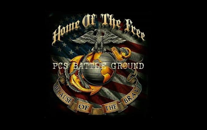 design high quality flag logo for you with new concept