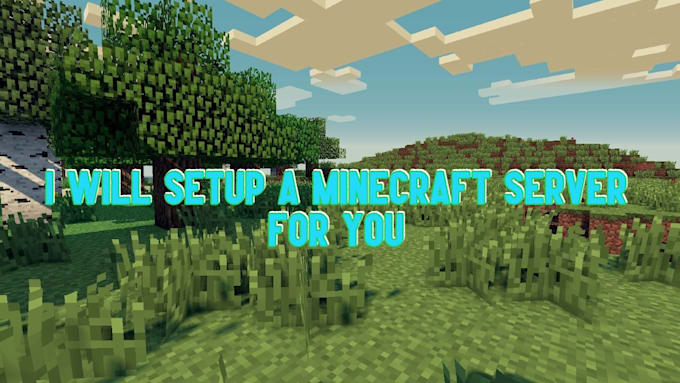 Setup a minecraft server for you by Dario_arch | Fiverr