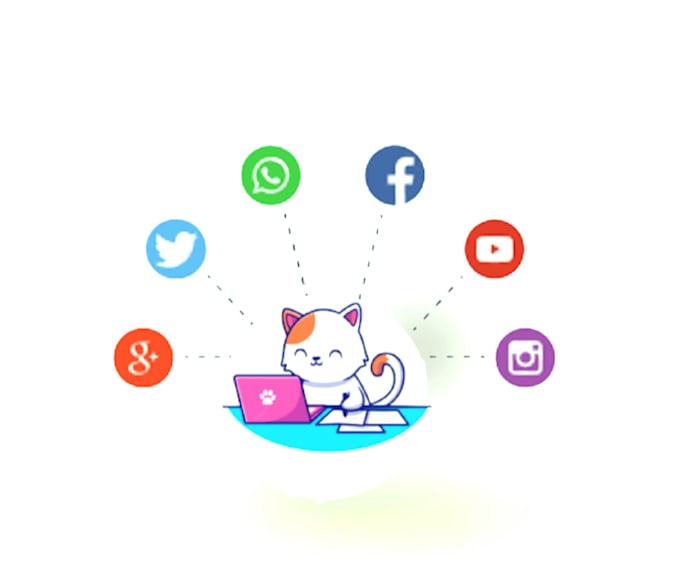 be your social media manager and content creator