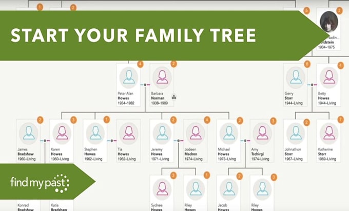 Build a family tree or genealogy as a hierarchy by Nixmerkant | Fiverr