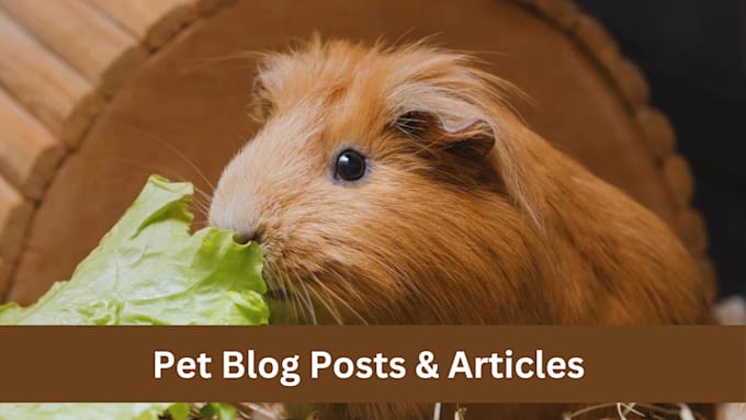 write seo pet blog posts and articles for you
