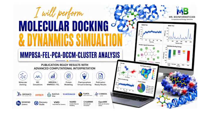 provide docking and MD simulation services