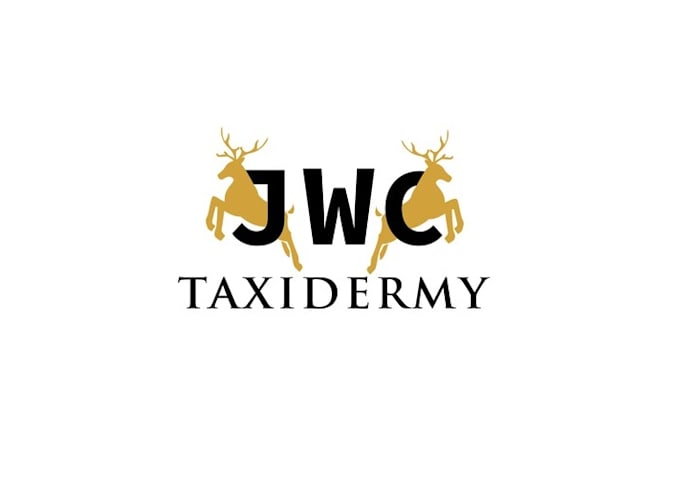 design unique taxidermy logo with my own creative thinking