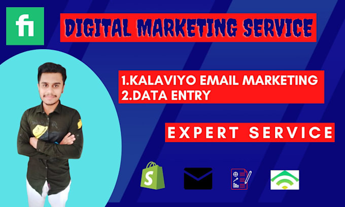 setup klaviyo email marketing, for shopify klaviyo, also do data entry