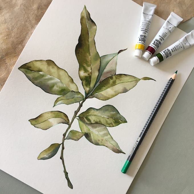 paint a watercolor botanical illustration of plants