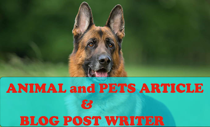 write well researched SEO animal, dog and pet content