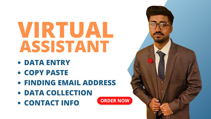 do excel data entry, data mining, copy paste typing work, finding emails adress