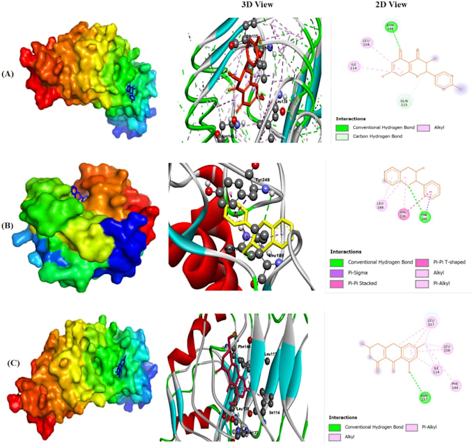 do network pharmacology and molecular docking and simulation