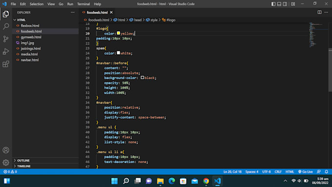 Create websites and web pages using html css and java script by ...