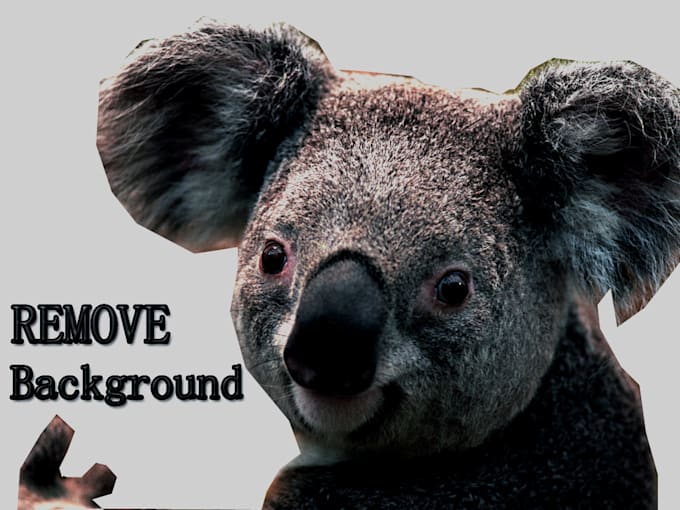 Background removal of 20 images in less than 24 hours by Umairaliali871 ...