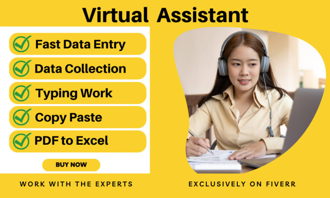 Do Excel Data Entry Typing Pdf To Excel Data Entry Copy Paste By Seoservices22 Fiverr 7969