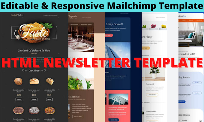 design editable, responsive mailchimp and HTML newsletter template