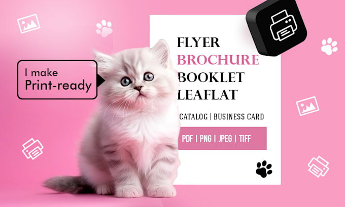 design print flyer, brochure, catalog, booklet
