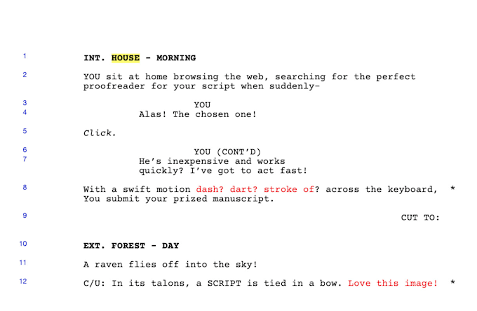 proofread and copy edit your screenplay or novella