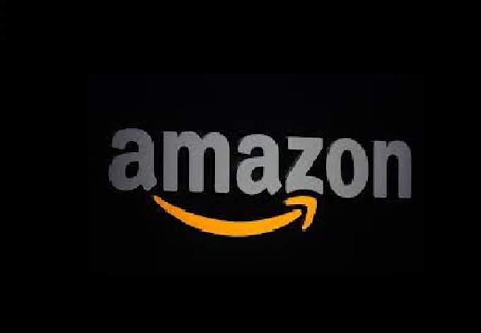 setup llc amazon and walmart shopify seller account product listing