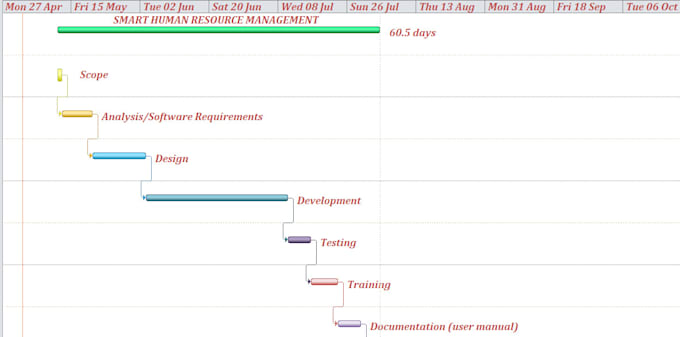 execute and mange your project using microsoft project tool