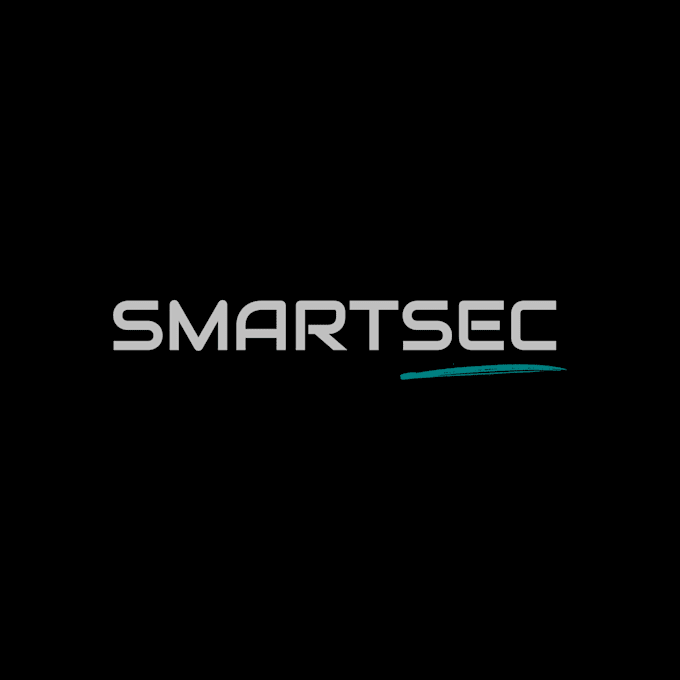 provide expert penetration testing services
