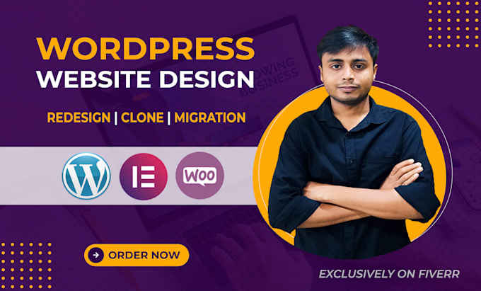 design professional wordpress website or redesign existing website