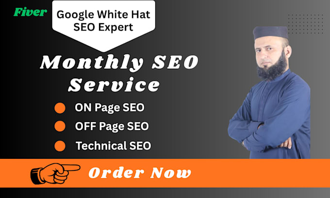 be your professional monthly seo specialist