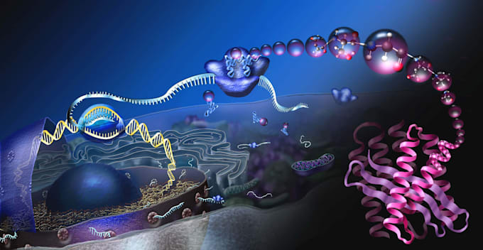 help in creating biology powerpoint presentation