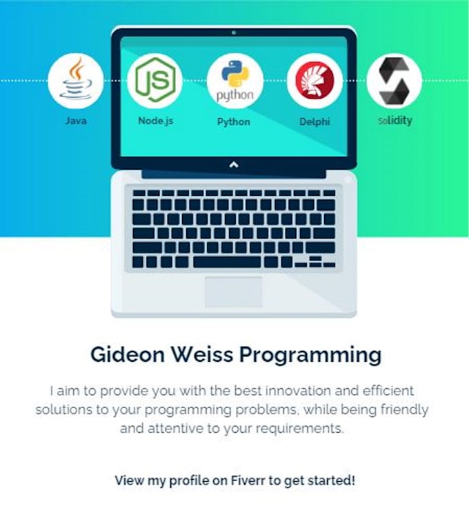 program a delphi program for you