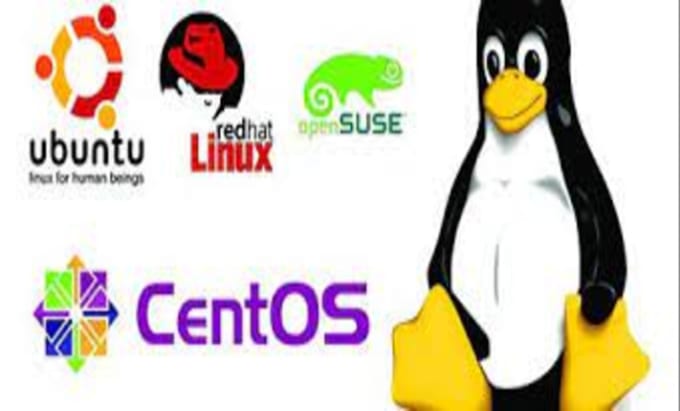 fix, install lunix sever,whm,cpanel, and write bash shell