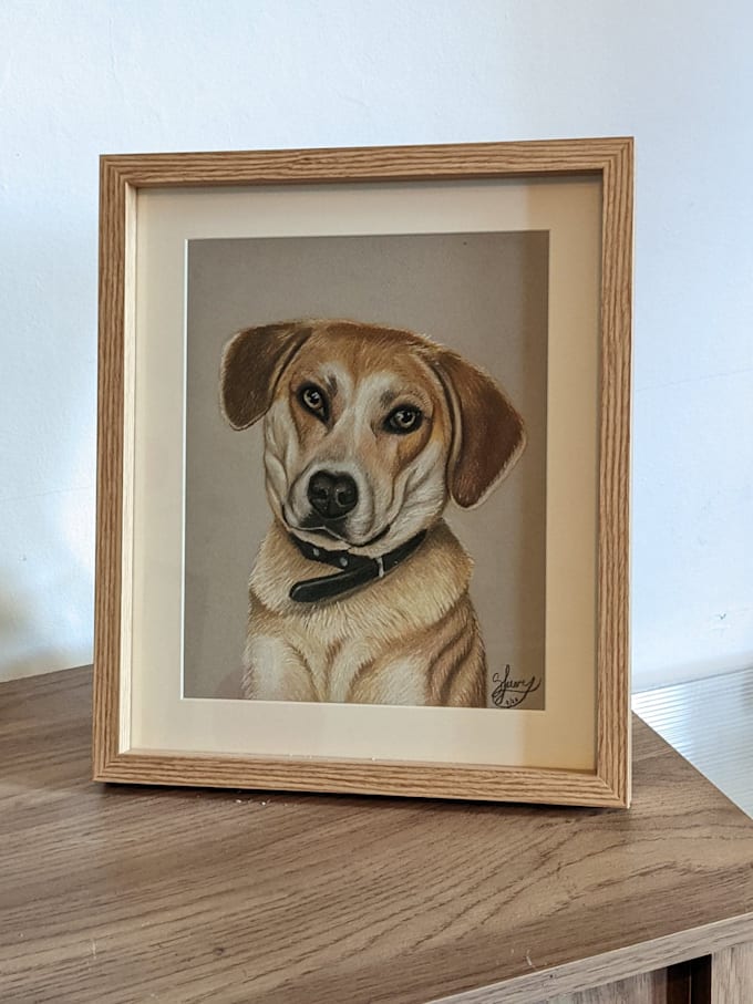 Turn Your Pet Into Art By Shannonfuery Fiverr Turn Your Pet Into Art By Shannonfuery Fiverr