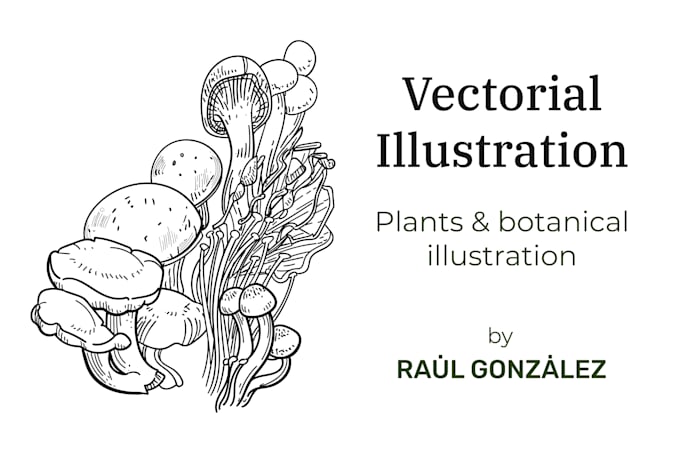 make vector illustrations of plants, fruits and botany