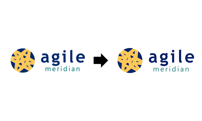 High quality vector conversion transform your logo or image by ...