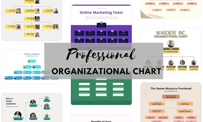 create organizational structure and chart