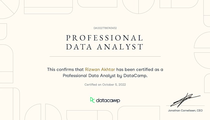perform a data analyst role