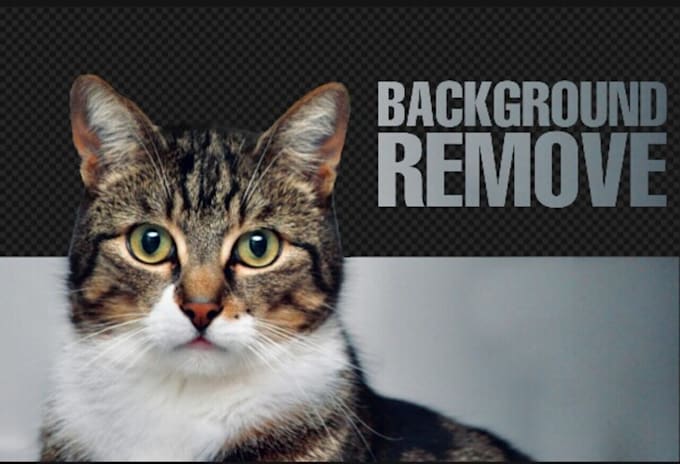 Remove background from your photo by Prince produced Fiverr