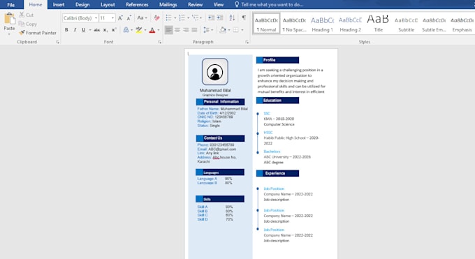 Perfect cv or resume for your job interview by Hassaanseraii | Fiverr