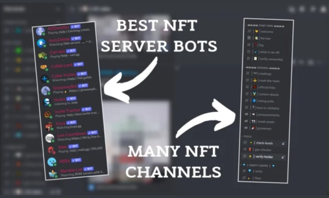 Create a professional fully custom nft discord server crypto discord