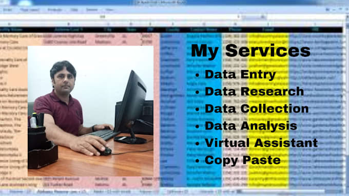 be your VA for data entry, data collection, data analysis
