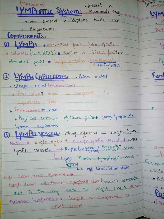 Do handwritten notes cards and letter by Amnaakram40266 | Fiverr