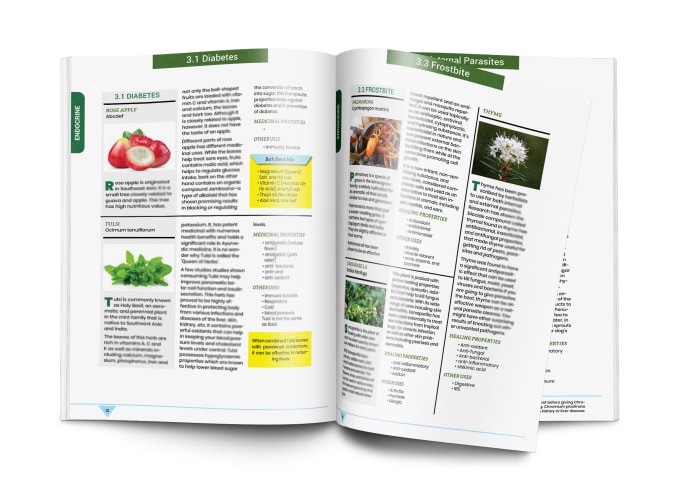 Professionally do book layout and design to print, ebook and kindle ...