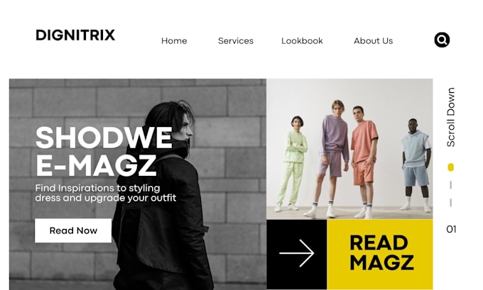 do a professional ecomerce website