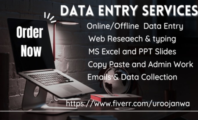 Do data entry typing copypaste web research excel data collection 