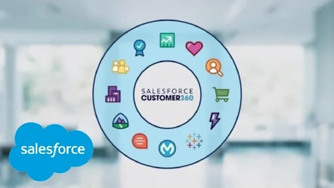 do the vlocity and salesforce development work