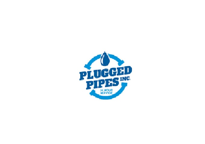 do professional corporate catchy drain cleaning logo fast delivery