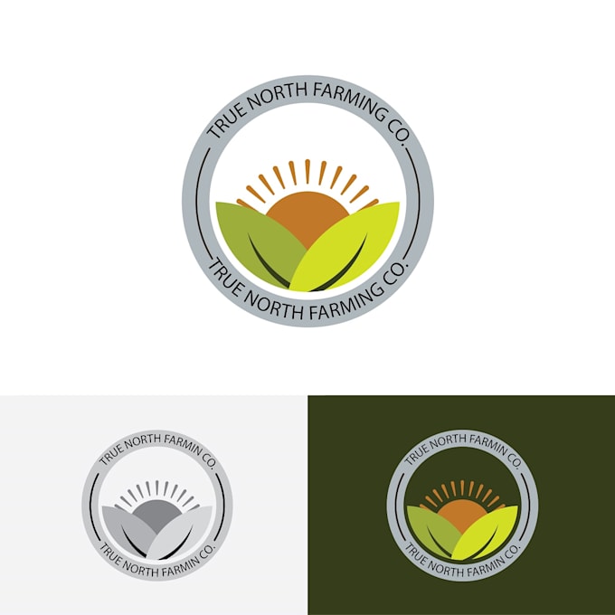 create a versatile unique professional logo design