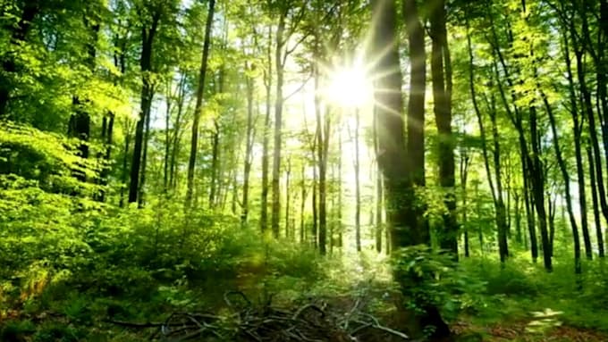 create meditation videos with nature sound and soft music