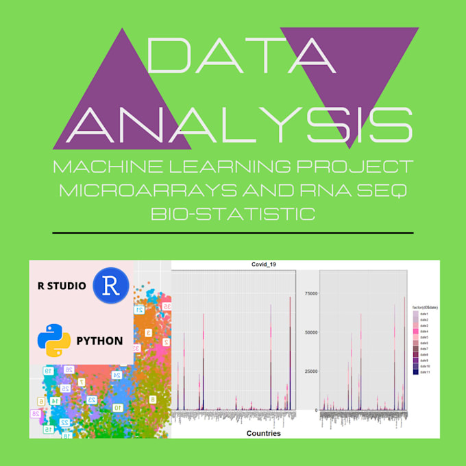 Analyze your data set by Victorialsviyo | Fiverr
