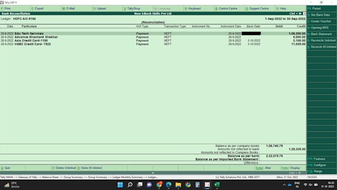 provide bookkeeping and accounting in tally software