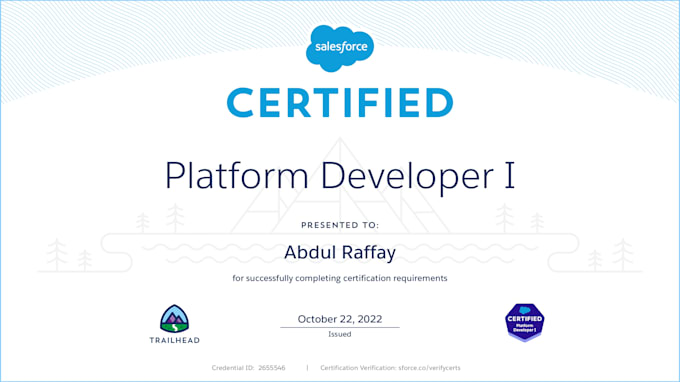 be your expert salesforce developer for apex, lwc automation