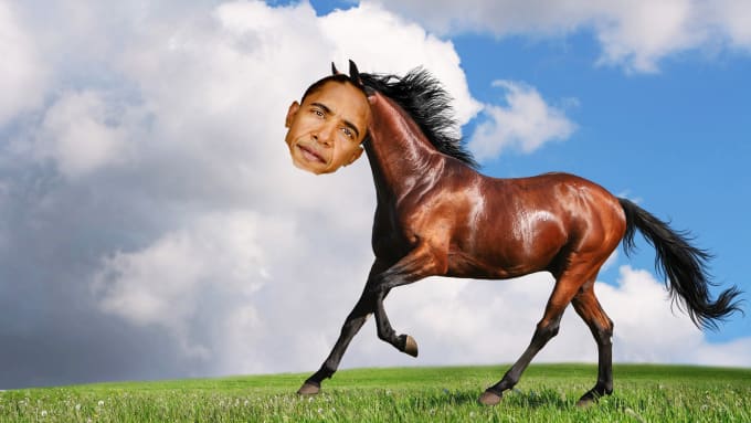 photoshop your face onto this beautiful horse