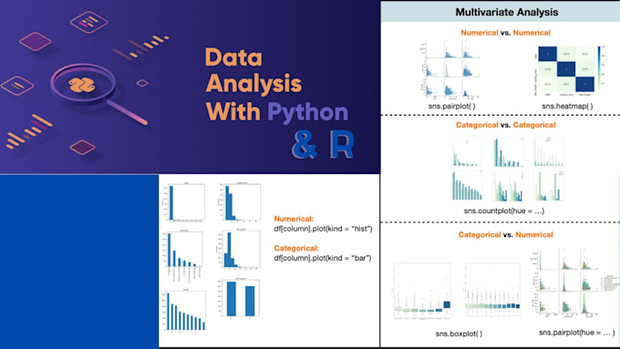 Do r python programming, data analysis and visualization reports by ...