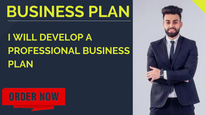 Develop a professional business plan bank loan financial plan by