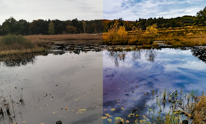 do picture editing and background removal with fast delivery